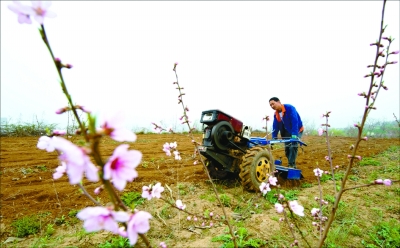 量身定制“脱贫菜单”——陕西省宝鸡市陇县脱贫攻坚纪实