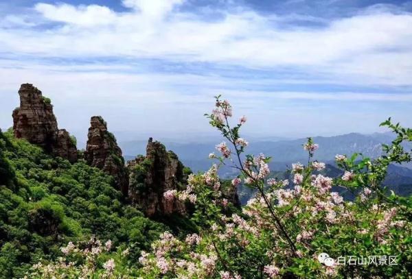 全国这些景区对中高考生免费！