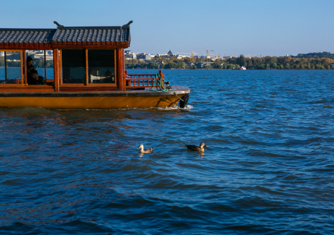 西湖风景图