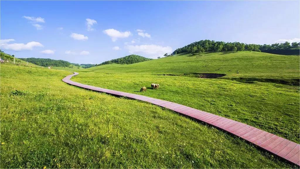 宝鸡关山牧场门票(关山草原蒙古包住一晚多少钱)