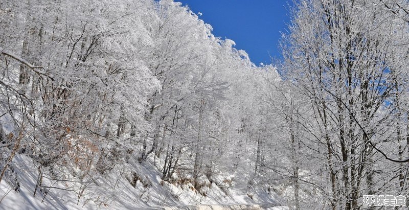 陇县可以带走的特产_关山牧场吃住攻略