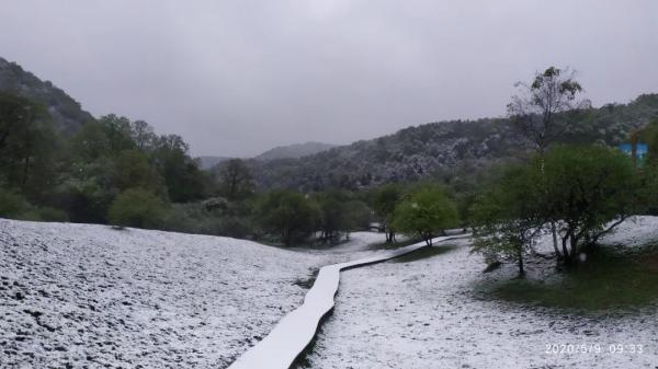 宝鸡迎来今年夏天第一场雪！是的，你没看错......