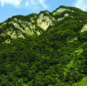 竹山无名大草原