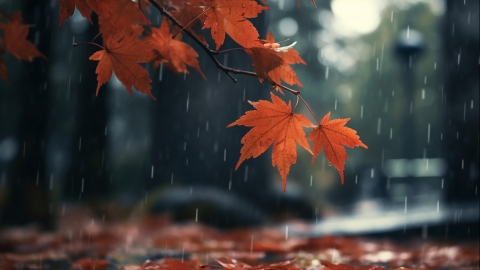 9月20日北京河北天气 北京降温明显河北局地有雨