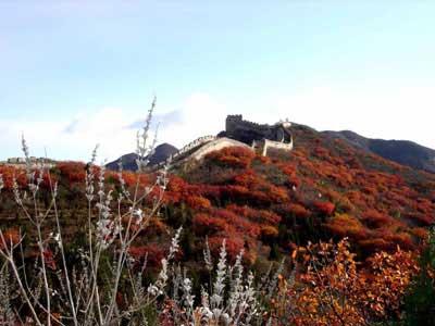 香山公园秋景