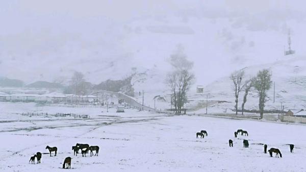 宝鸡迎来今年夏天第一场雪！是的，你没看错......