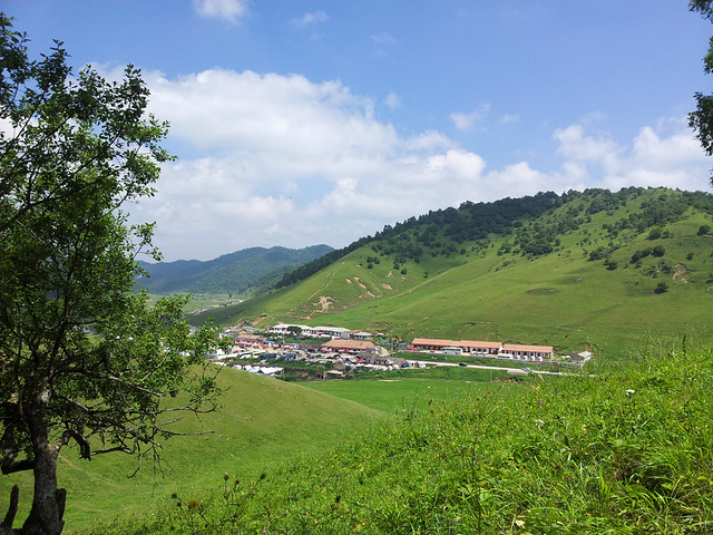 "关山牧场也是西北内陆地区唯一的以高山草甸为主体的具有欧式风情的省级风景名胜区。关山牧场可以玩一天_关山草原"的评论图片