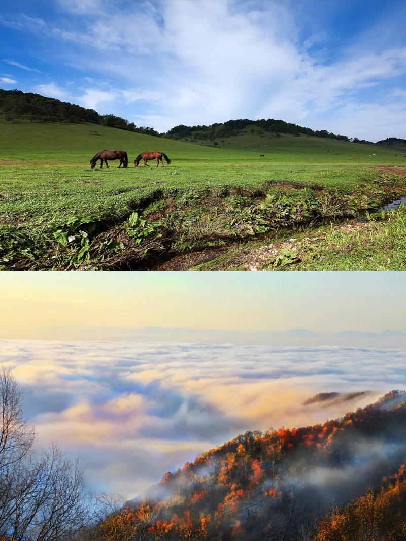 我们打算去关山牧场，有没有去过的朋友推荐较为合适的酒店住宿。谢谢