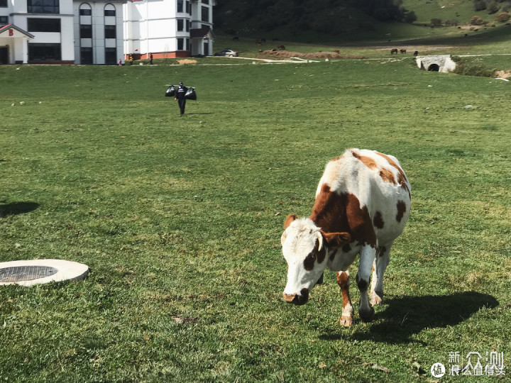 西安旅游攻略|关山草原比照片美的多的地方_新浪众测